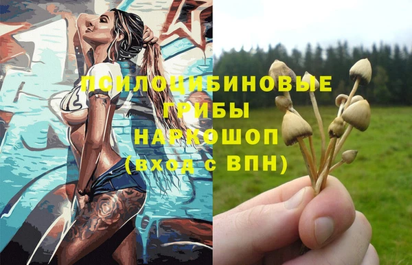 ГАЛЛЮЦИНОГЕННЫЕ ГРИБЫ Каменск-Шахтинский
