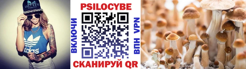 Купить где  Берёзовка  Галлюциногенные грибы Cubensis 